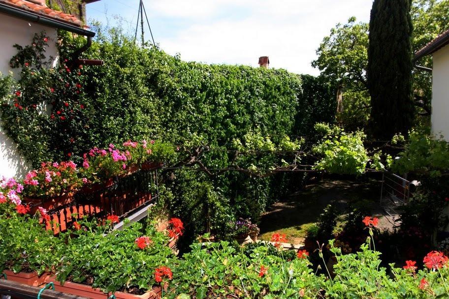 Casa Lemmi Guest House San Quirico dʼOrcia Екстериор снимка